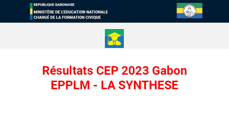 Résultats CEP 2023 Gabon - EPPLM LA SYNTHESE [PDF]