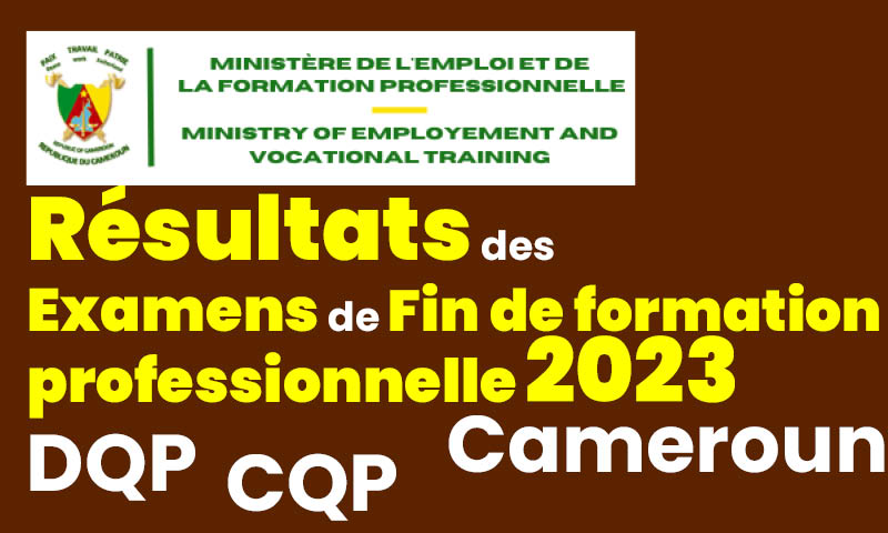 Résultats du DQP 2023 au Cameroun